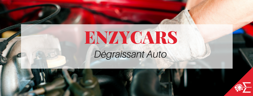 EnzyCars Degraissant Auto
